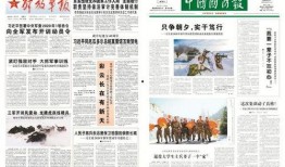 文职人员最新爆料新闻,内幕详情及影响深度解析