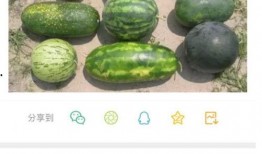 最新爆料的新瓜,新瓜爆料，娱乐圈惊天大事件再掀波澜！